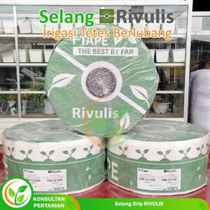 seang drip rivulis